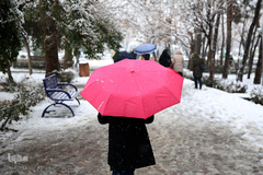 بارش برف زمستانی در تهران