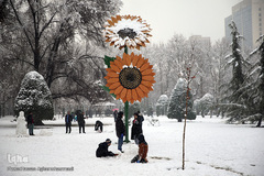 بارش برف زمستانی در تهران