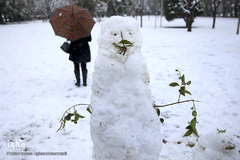 بارش برف زمستانی در تهران