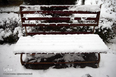 بارش برف زمستانی در تهران