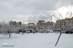 چهره برفی تبریز