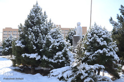 چهره برفی تبریز