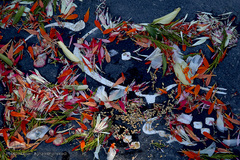 مراسم عطرافشانی و گلباران مزار مطهر شهدای بهشت زهرا(س) تهران