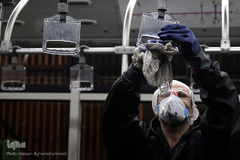 عملیات ضد عفونی کردن ناوگان حمل و نقل عمومی در تهران