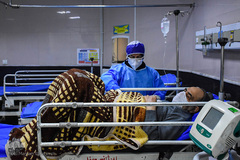 سربازان خط مقدم مبارزه با کرونا در بیمارستان سینای تبریز