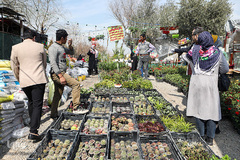 بازار گل محلاتی تهران
