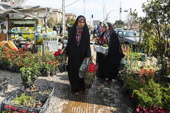 بازار گل محلاتی تهران