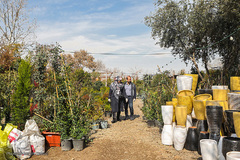 بازار گل محلاتی تهران