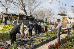 بازار گل محلاتی تهران