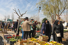 بازار گل محلاتی تهران