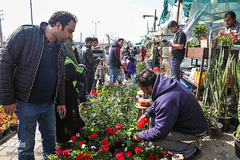 بازار گل محلاتی تهران