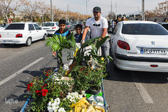 بازار گل محلاتی تهران