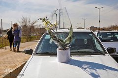 بازار گل محلاتی تهران