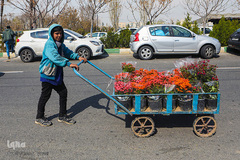 بازار گل محلاتی تهران