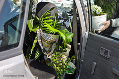 بازار گل محلاتی تهران