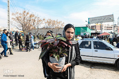 بازار گل محلاتی تهران