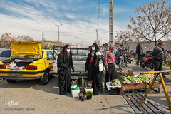بازار گل محلاتی تهران
