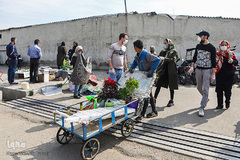 بازار گل محلاتی تهران