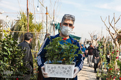 بازار گل محلاتی تهران