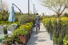 بازار گل محلاتی تهران