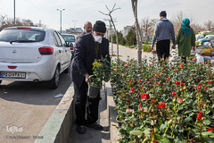 بازار گل محلاتی تهران
