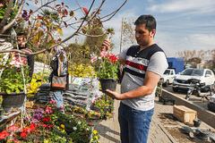 بازار گل محلاتی تهران