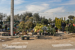 بازار گل محلاتی تهران