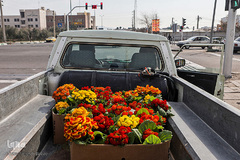 بازار گل محلاتی تهران