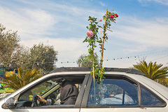 بازار گل محلاتی تهران