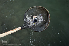 دریاچه خلیج فارس