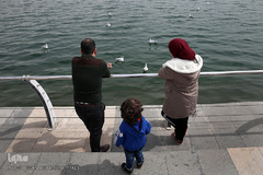 دریاچه خلیج فارس