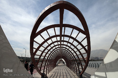 دریاچه خلیج فارس