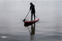 دریاچه خلیج فارس