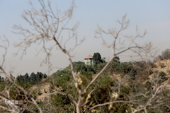 پارک جنگلی چیتگر