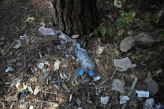 پارک جنگلی چیتگر