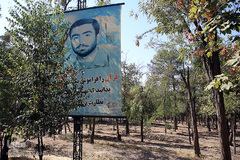 پارک جنگلی چیتگر