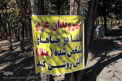 پارک جنگلی چیتگر