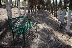 پارک جنگلی چیتگر