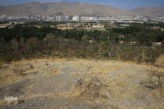 پارک جنگلی چیتگر