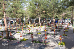 22 اسفند روز بزرگداشت شهدا