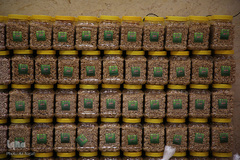 تقسیم مهربانی با نیازمندان در آستانه سال نو