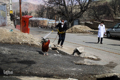 اجرای عملیات غربالگری و ضدعفونی در مناطق عشایرنشین ارسباران