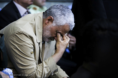 سردار دل ها