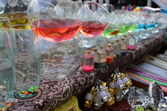 بهار، نوید آینده‌ای روشن