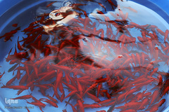 بهار، نوید آینده‌ای روشن