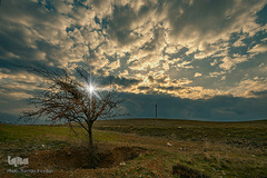 بهار، نوید آینده‌ای روشن