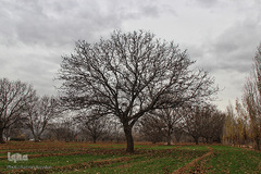 بهار، نوید آینده‌ای روشن