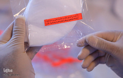 حرم علی بن حمزه(ع) کارگاه تولید ماسک جهادگران