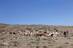 دروازه بهشت منطقه ارسباران امسال تعطیل است