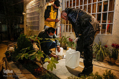 ضدعفوني كردن اماكن عمومي شيراز توسط  گروه‌های مردمی